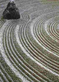 Storie Zen