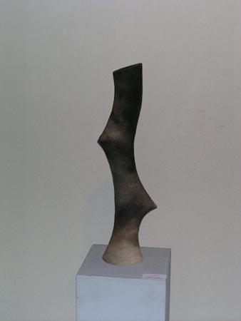 arteraku04
