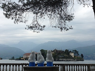 Wal a Stresa