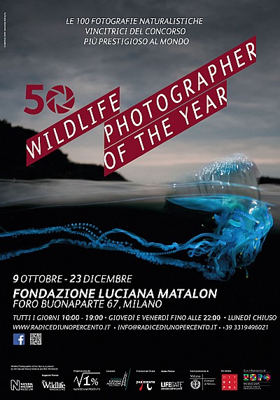 Wildlife Photographer of the year