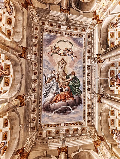 117 visite guidate al Museo della Certosa di Pavia