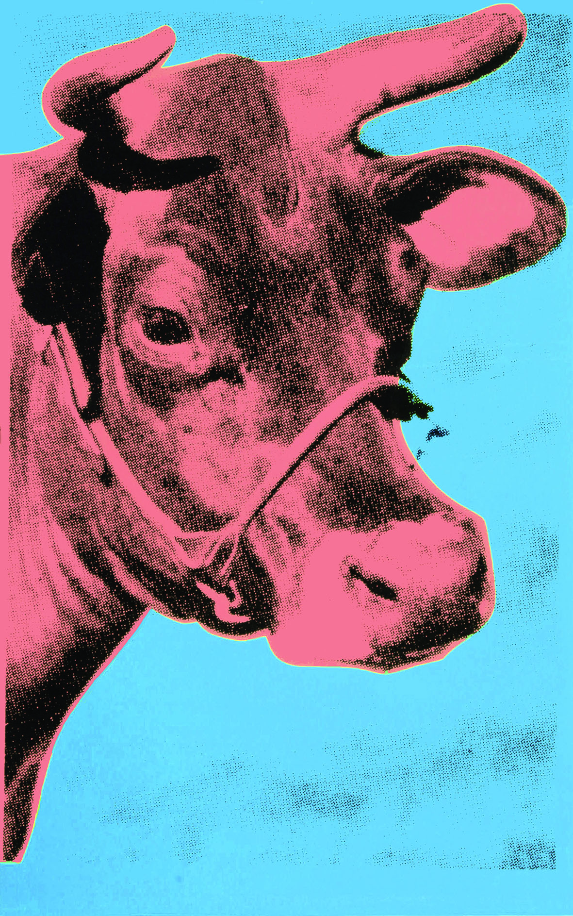 WARHOL #8211; FLESH