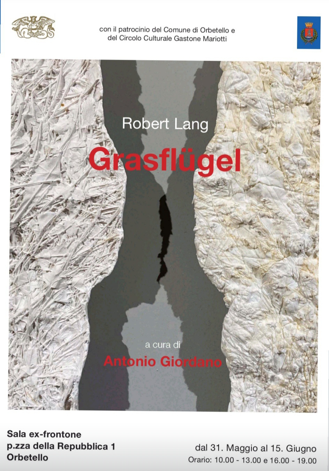 Robert Lang - Grasfl#252;gel