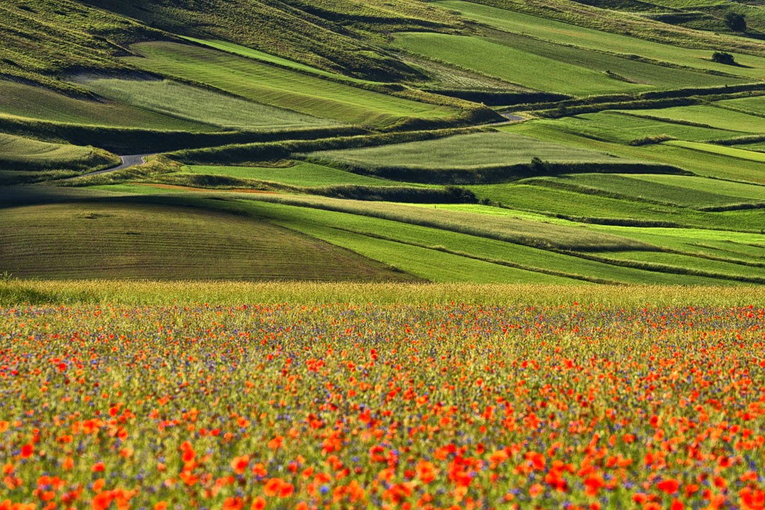SILENZI OLTRE IL VELO