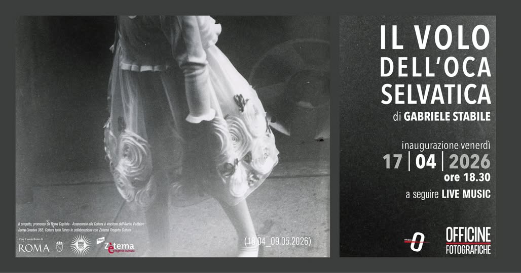 Il volo dell'oca selvatica Foto Gabriele Stabile