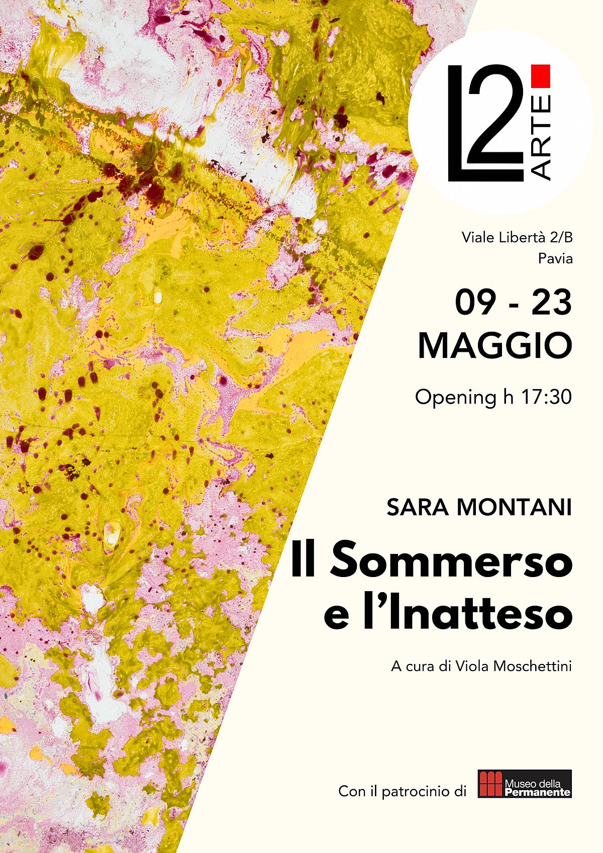 Il Sommerso e l#8217;Inatteso