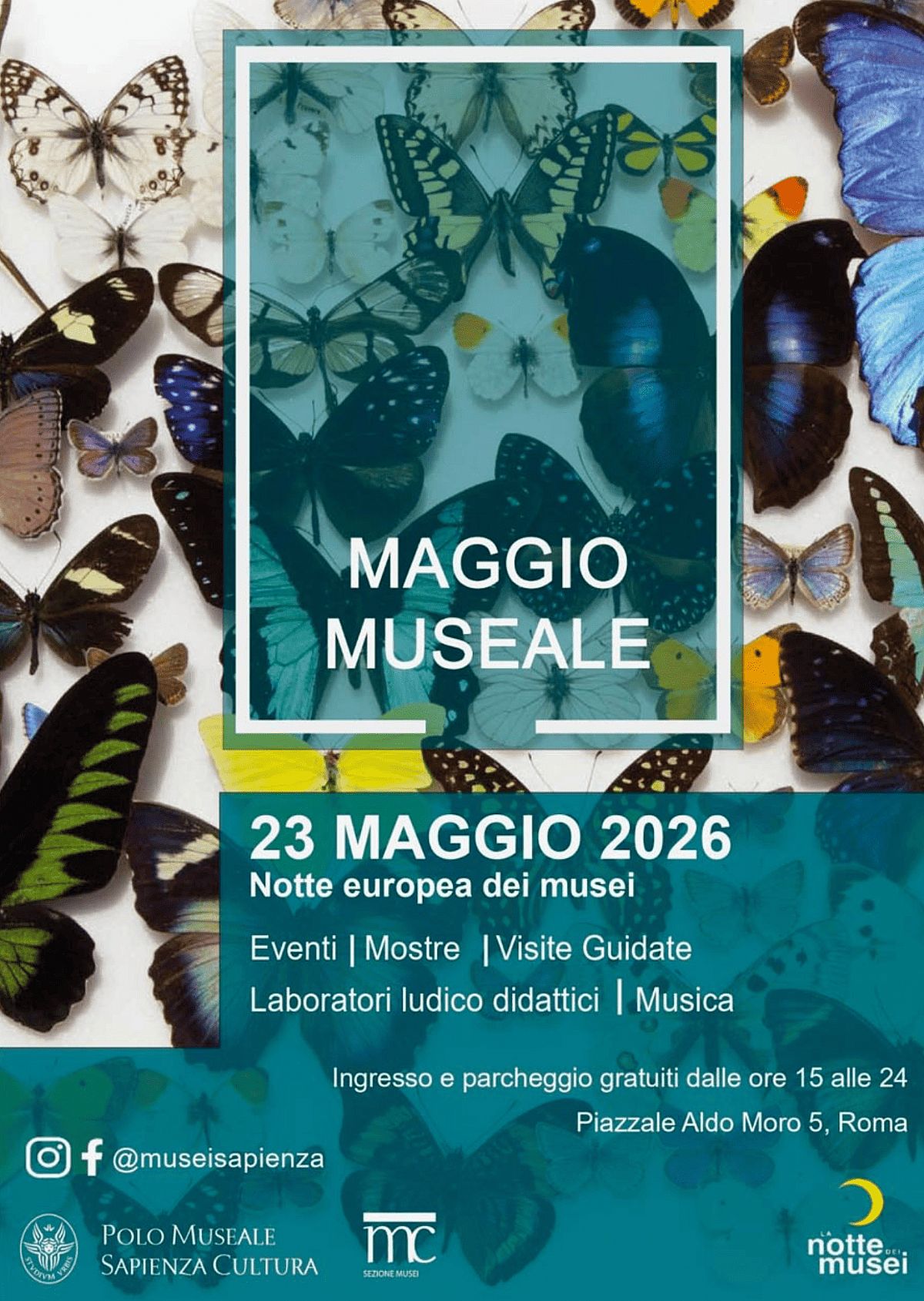 Il Polo Museale - Sapienza Cultura presenta il programma di MAGGIO MUSEALE