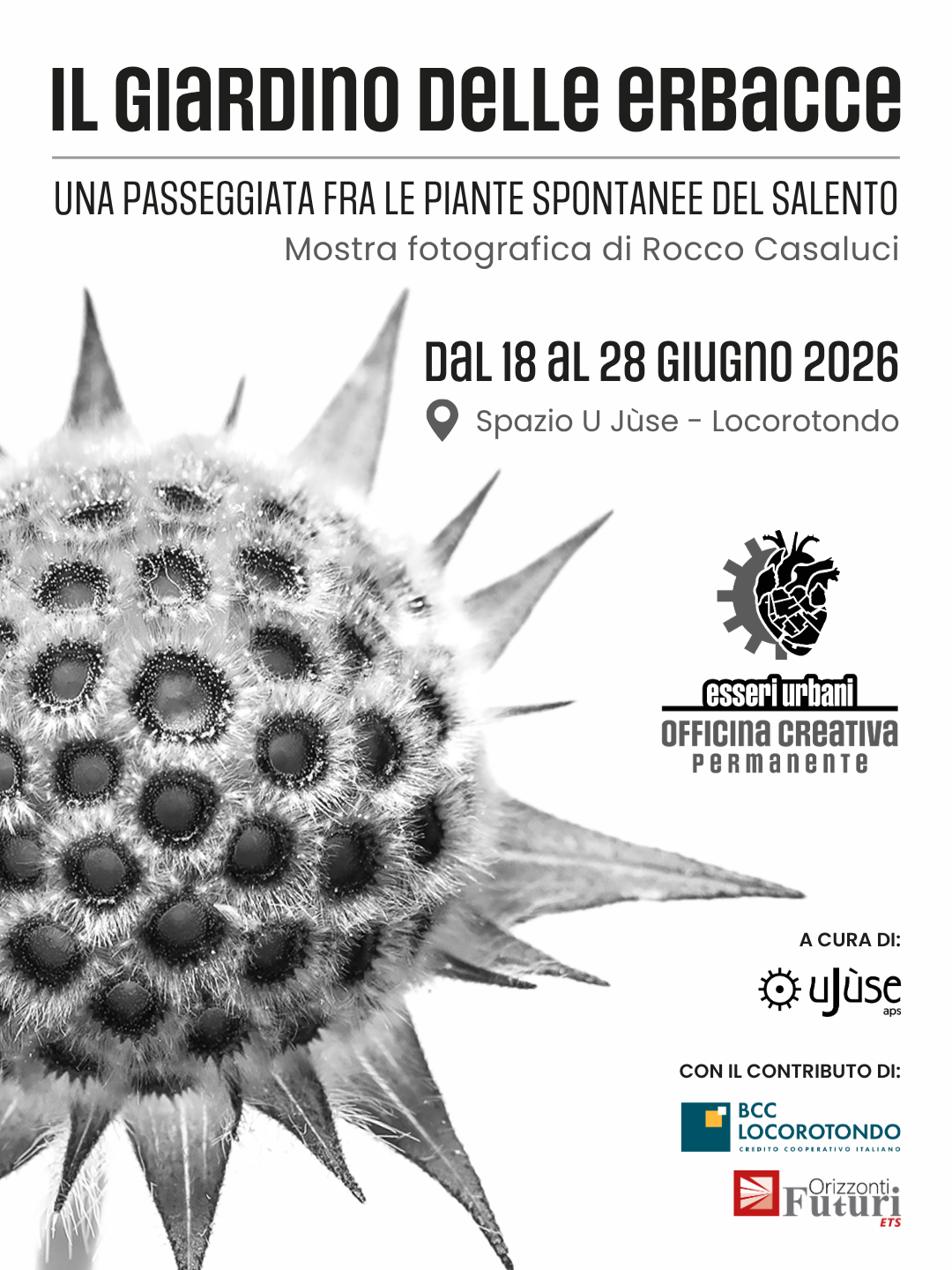 ESSERI URBANI 2026 | Il giardino delle erbacce